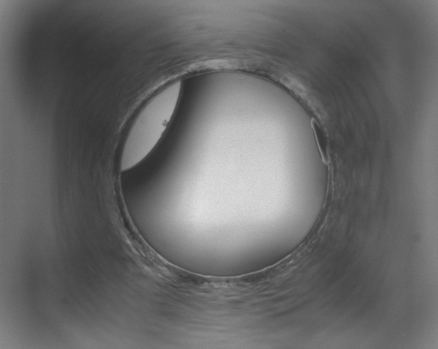 X0000070170297200605261011