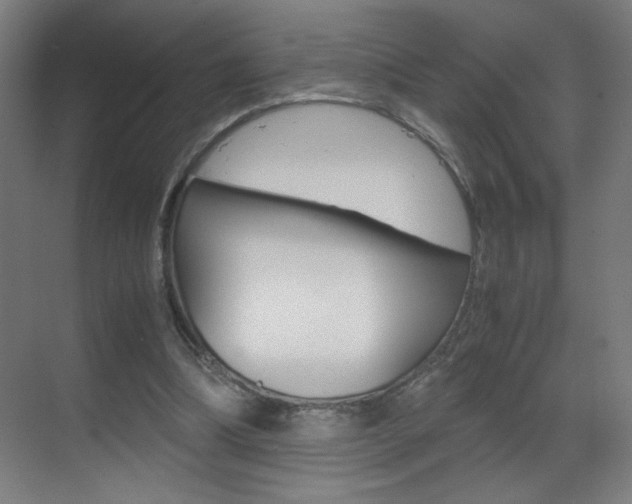 X0000070170298200605261011