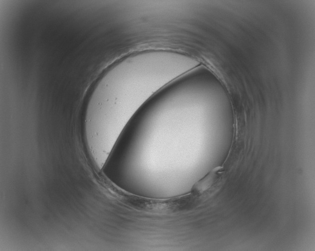 X0000070170301200605261011