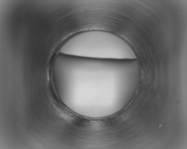 X0000070170302200605261011