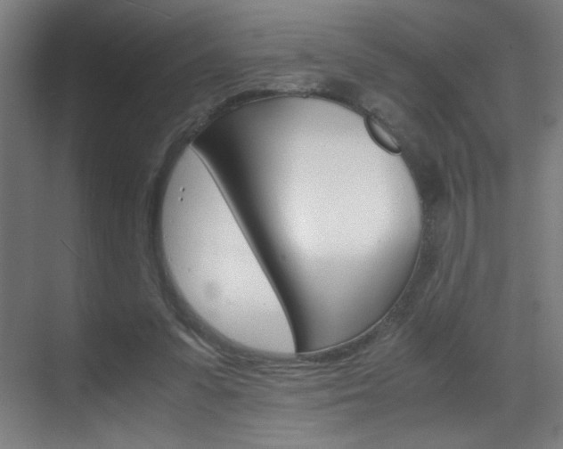 X0000070170303200605261011