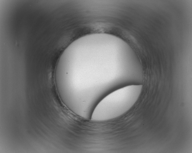 X0000070170314200605261011