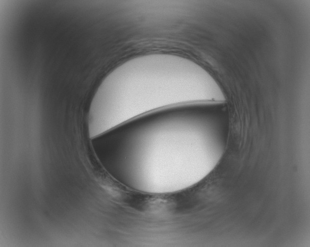 X0000070170315200605261011
