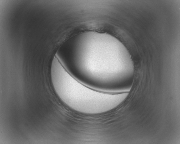 X0000070170317200605261011