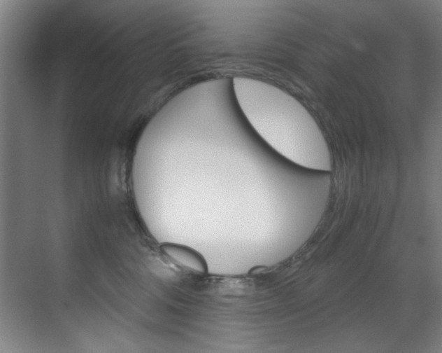 X0000070170330200605261011
