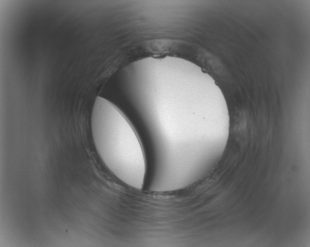 X0000070170332200605261011