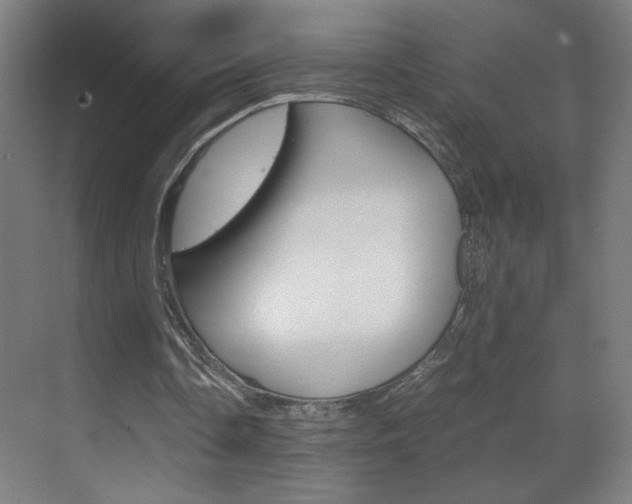 X0000070170338200605261010