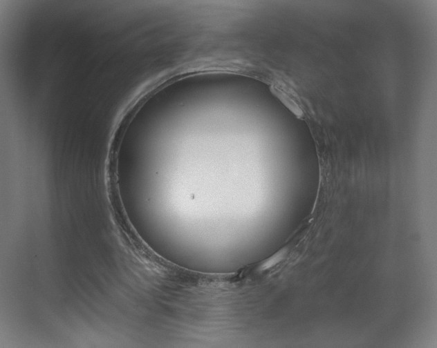 X0000070170340200605261010