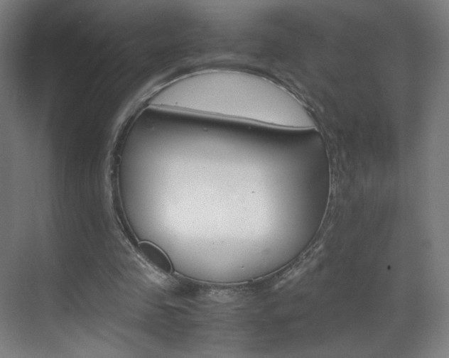 X0000070170341200605261010