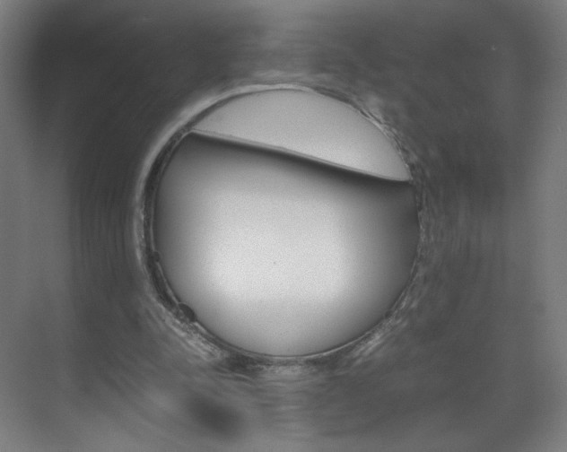 X0000070170342200605261010