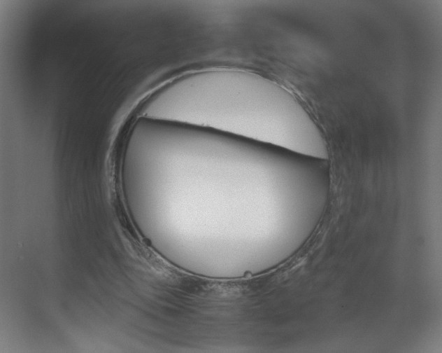 X0000070170343200605261010
