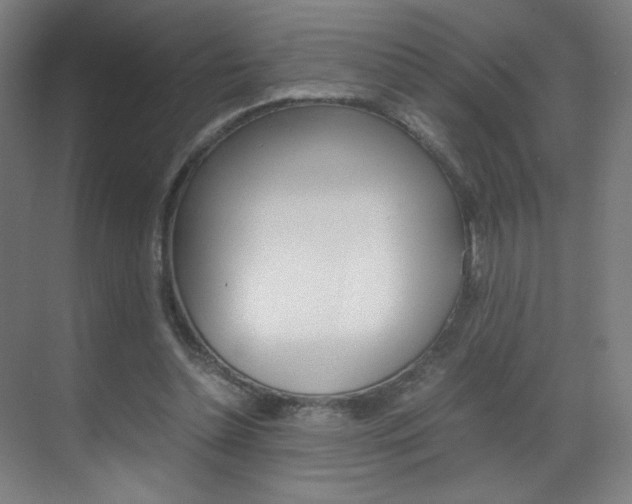 X0000070170348200605261010