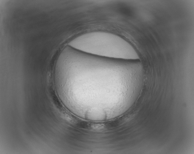 X0000070170355200605261010