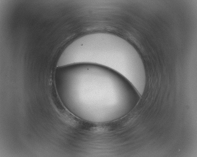 X0000070170356200605261010