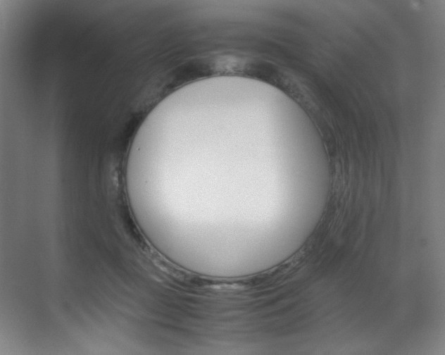 X0000070170363200605261010