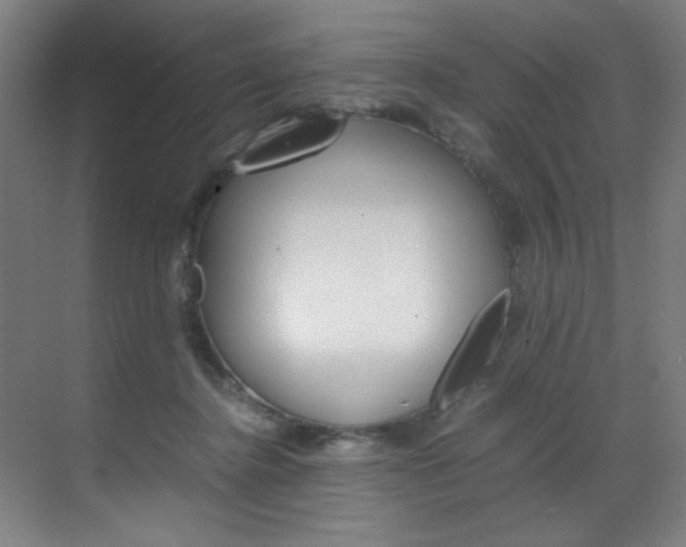 X0000070170364200605261010