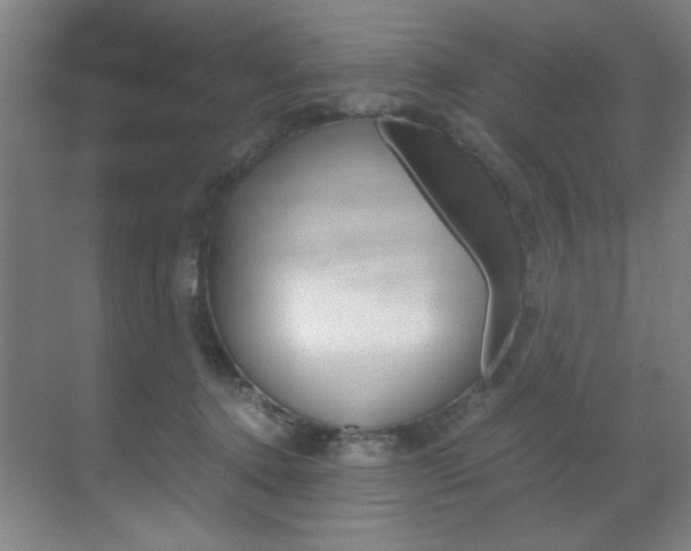X0000070170368200605261010
