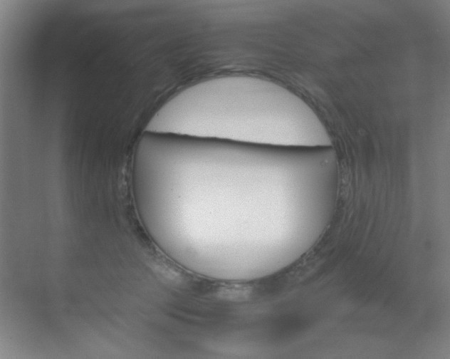 X0000070170369200605261010