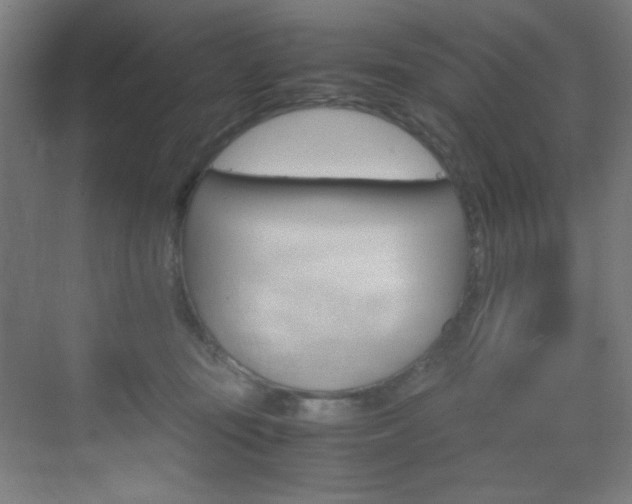 X0000070170371200605261011