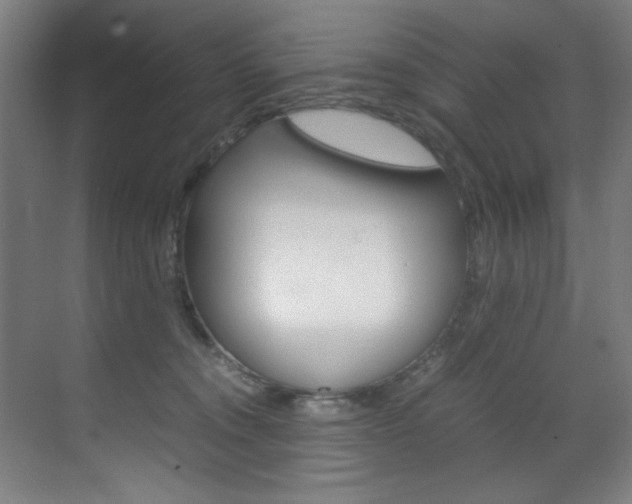 X0000070170372200605261011