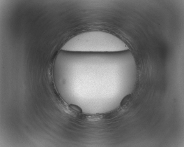 X0000070170373200605261011