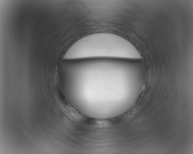 X0000070170376200605261011