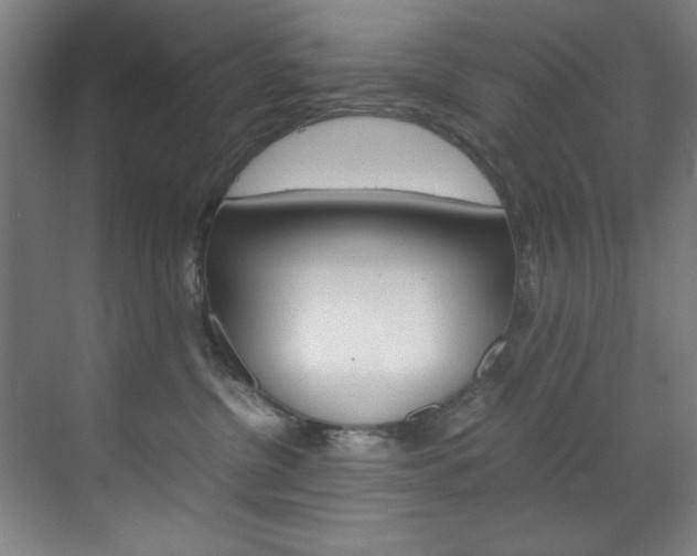 X0000070170380200605261011