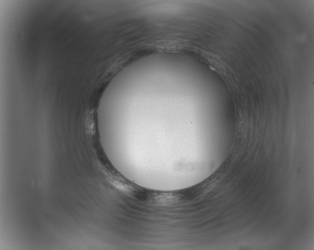 X0000070170383200605261011