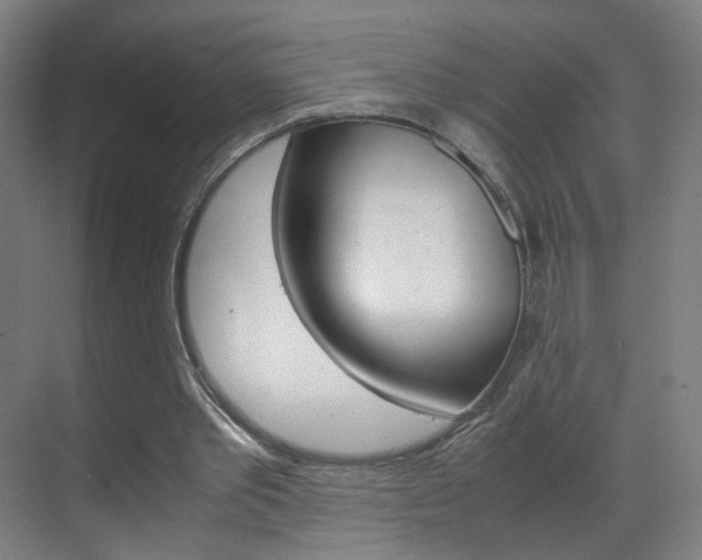X0000070170389200605261010