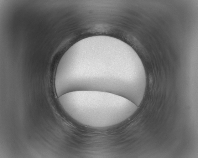 X0000070170396200605261010