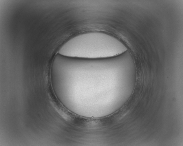 X0000070170402200605261010
