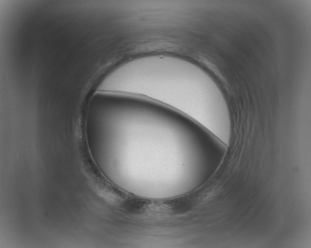 X0000070170403200605261010