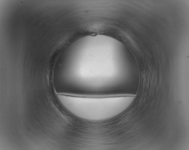 X0000070170404200605261010
