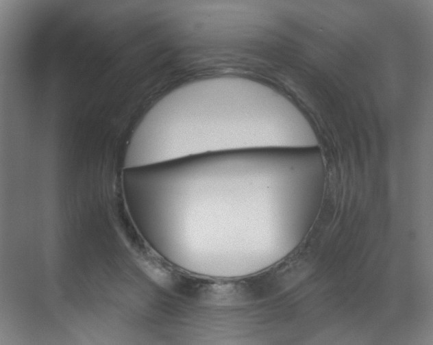 X0000070170406200605261010