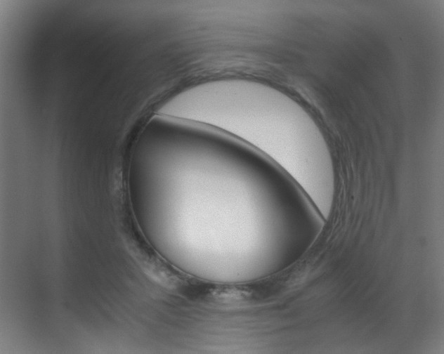 X0000070170407200605261010