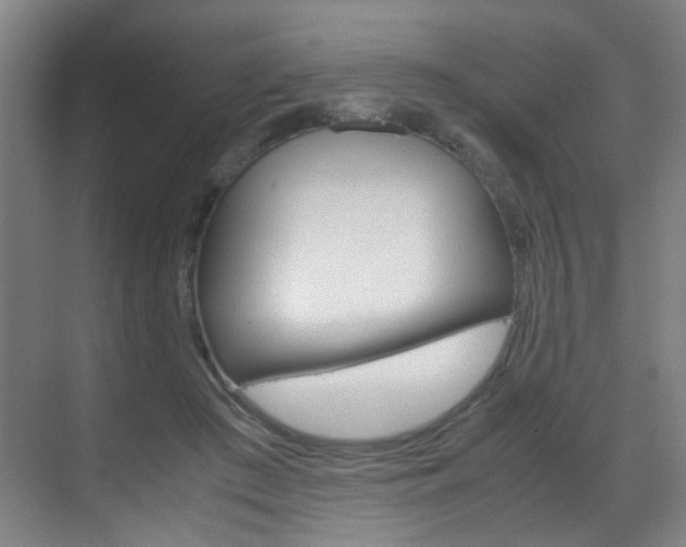 X0000070170409200605261010