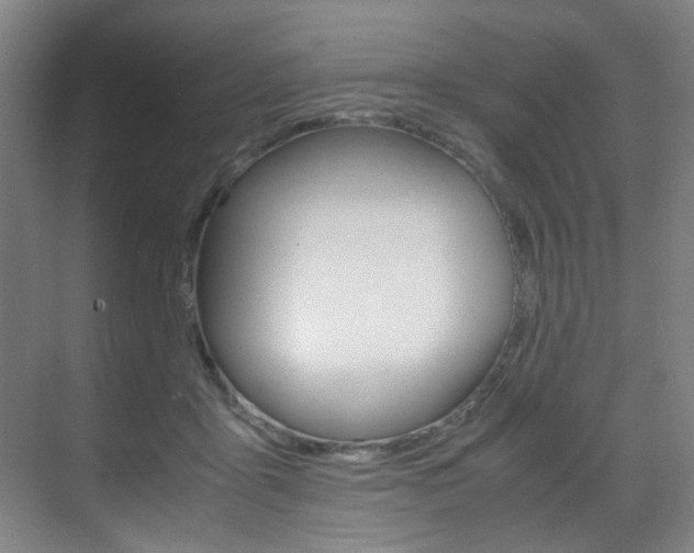 X0000070170411200605261009