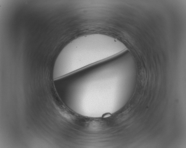 X0000070170412200605261009