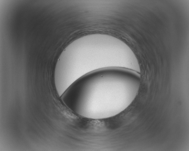 X0000070170421200605261009