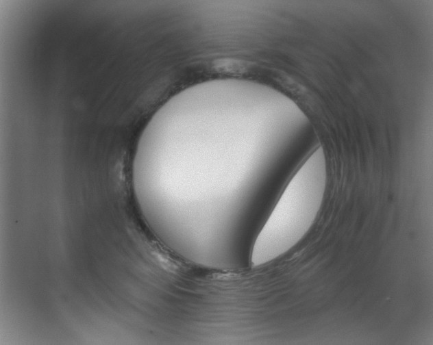 X0000070170424200605261009