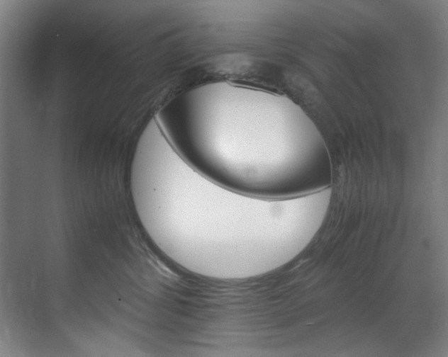 X0000070170428200605261009