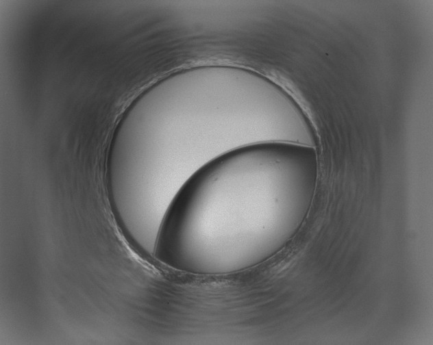 X0000070170433200605261008