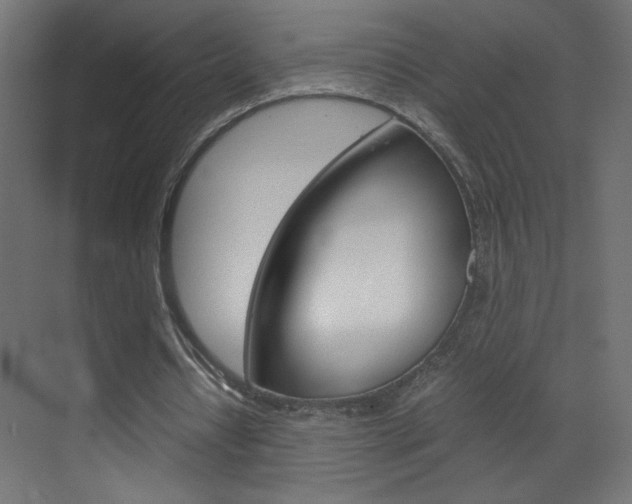 X0000070170434200605261008