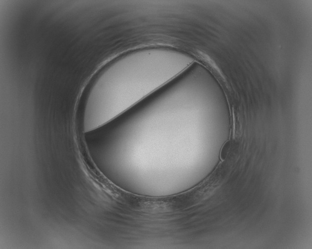 X0000070170435200605261008