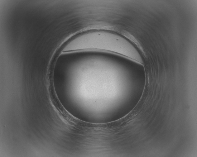 X0000070170436200605261008