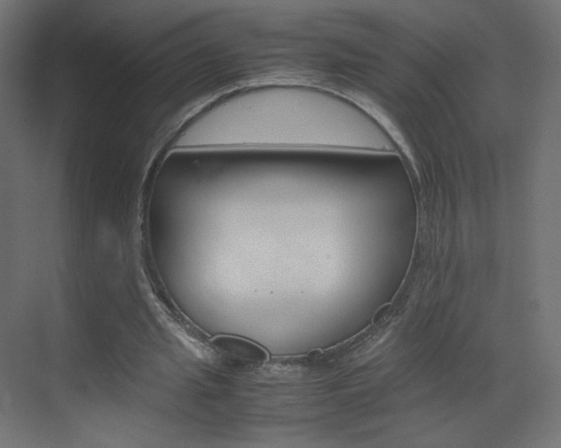 X0000070170437200605261008