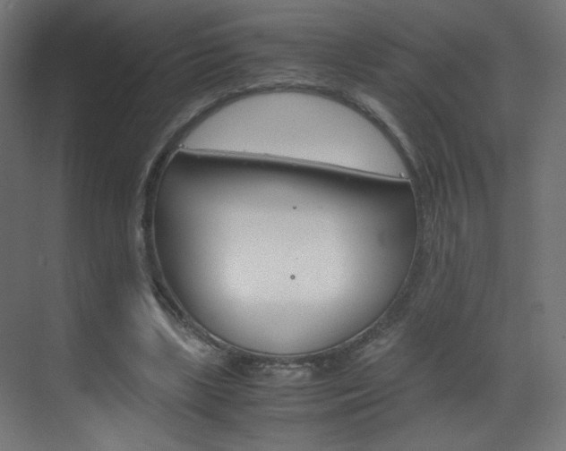 X0000070170443200605261008