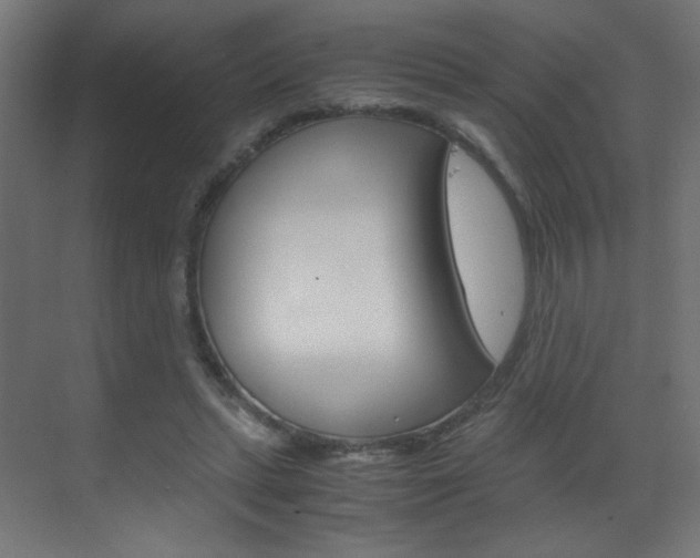 X0000070170447200605261009