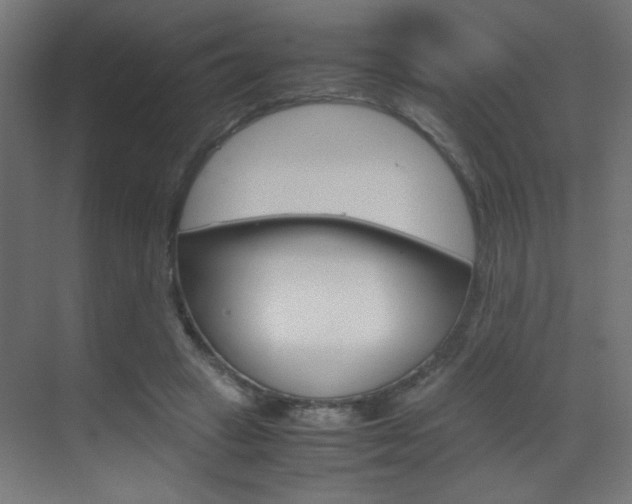 X0000070170449200605261009