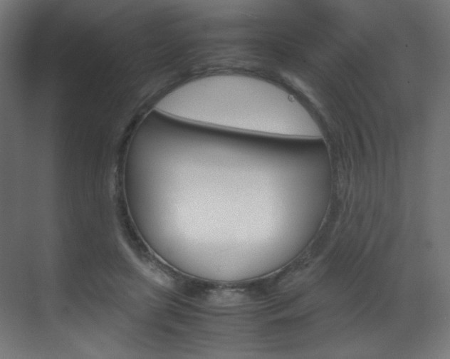 X0000070170451200605261009